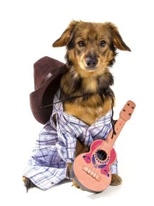 dog-models--country