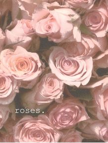 roses-rosas