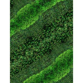 green-carpet