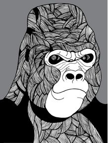 black-gorila
