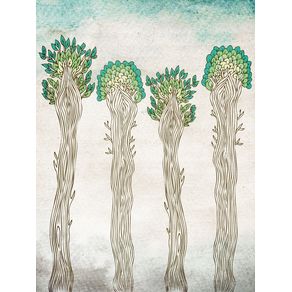 amazon-trees