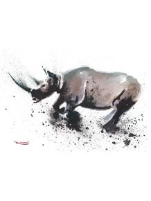 black-rhino