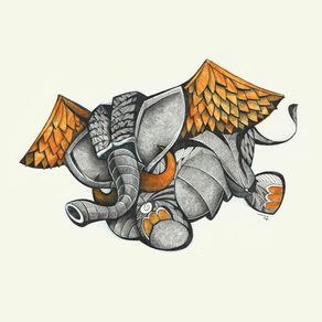 elefante-voa