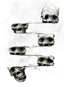 skull-3