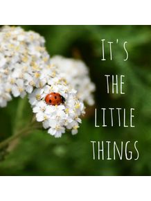 the-little-things