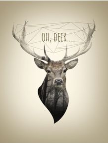 oh-deer-ii