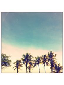 palmtrees-green