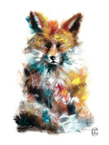 little-fox
