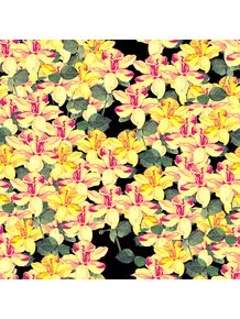 floral-pattern-ii
