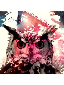 owl-and-pink