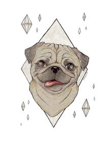 pug-in-the-sky-with-diamonds