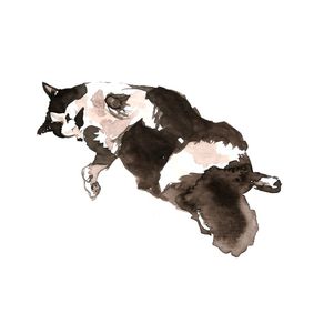 watercolor-cat-gato-aquarela
