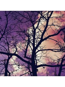 purple-sky-and-tree