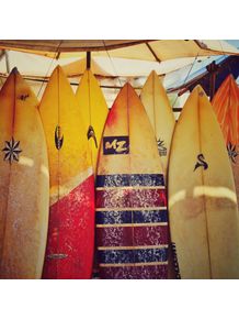 surf-brasileiro