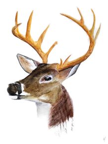 watercolor-deer