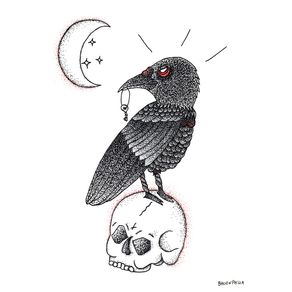 moon-crow