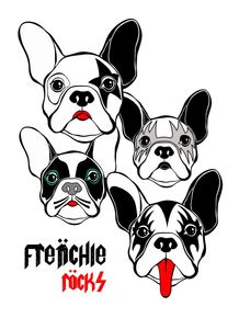 frenchie-rocks--bulldog