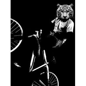 tiger-bike