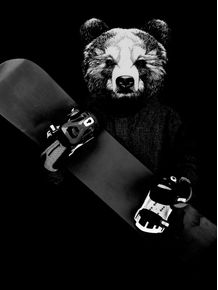 snowboard-bear