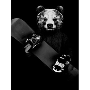 snowboard-bear