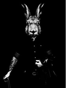 magic-rabbit