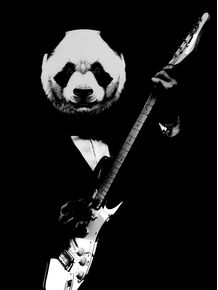 rock-panda