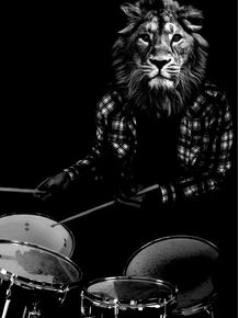 drum-lion