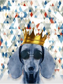 the-king-dog