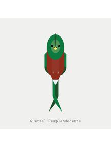 quetzal-resplandecente