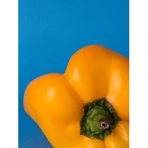 quadro-yellow-pepper
