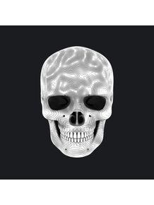 quadro-white-skull-01