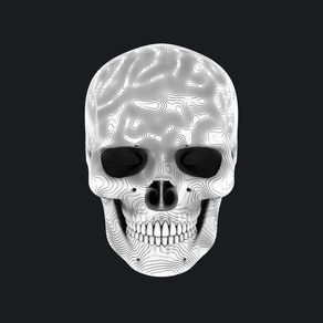 quadro-white-skull-01