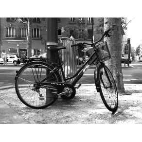 quadro-bicicletas-em-paris-05