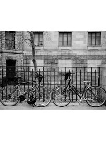 quadro-bike-nova-york