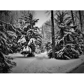 quadro-winter-landscape
