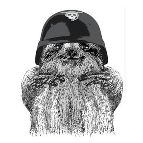 quadro-motorcyclist-sloth
