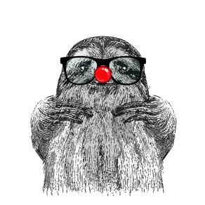 quadro-clown-sloth
