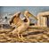 quadro-greece-pelican