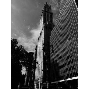 quadro-woolworth-building