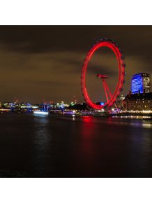 quadro-the-amazing-london-eye