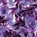 quadro-floral-fiesta--purple-multi