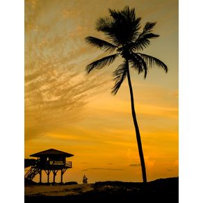quadro-tropical-sunset