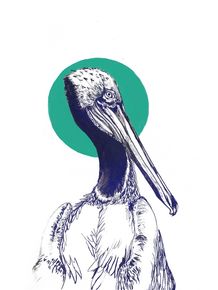 quadro-pelicano
