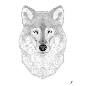 quadro-wolf-in-lines