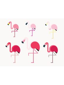 quadro-flamingos-do-mundo