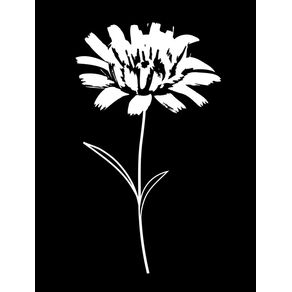 quadro-white-flower