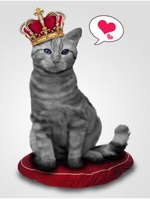 quadro-king-cat