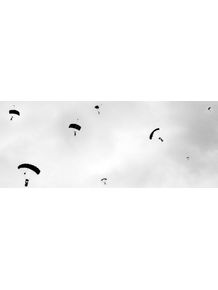 quadro-skydive