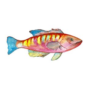 quadro-pesce
