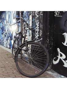 quadro-amsterdam-bike-e-grafitti